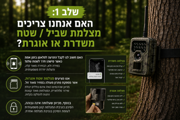 איך בוחרים מצלמת ציידים - משדרת או אוגרת?
