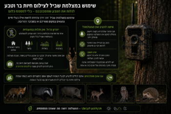 שימוש במצלמת שביל לצילום חיות בר וטבע